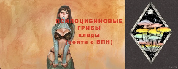 тгк Арсеньев