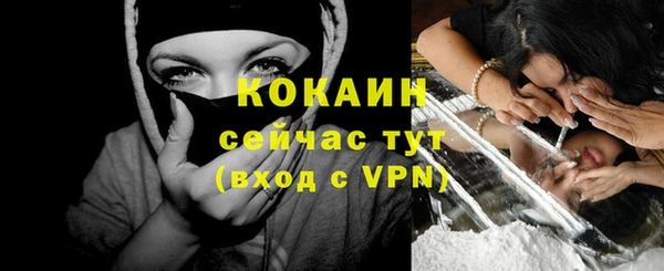 тгк Арсеньев