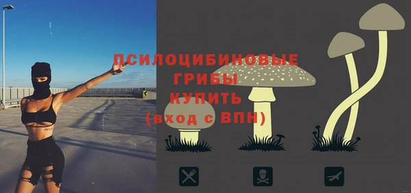 тгк Арсеньев