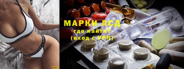 ешки Аркадак