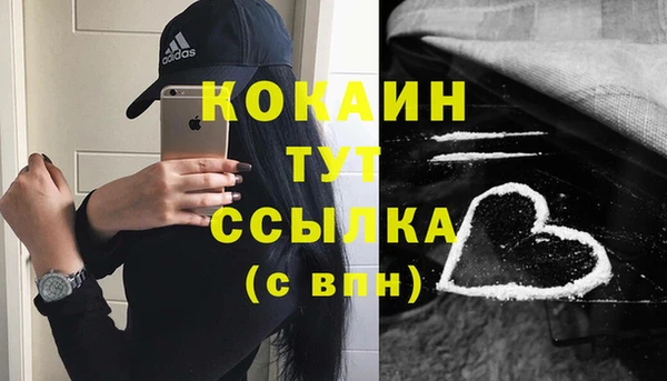 тгк Арсеньев