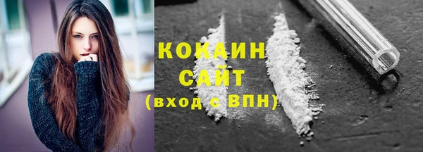 ешки Аркадак
