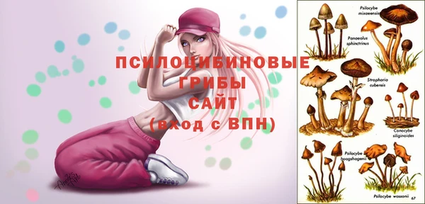 ALPHA PVP Армянск