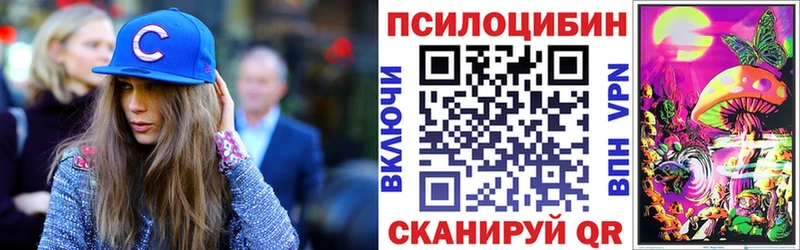 blacksprut как зайти  Сальск  Псилоцибиновые грибы мухоморы  где продают наркотики 